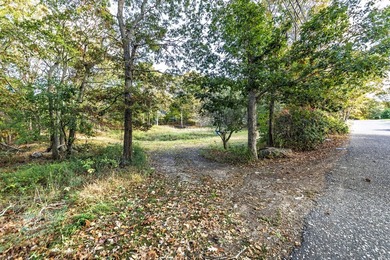 Tucked away on a peaceful East Hampton street, this rare shy of - photo 4