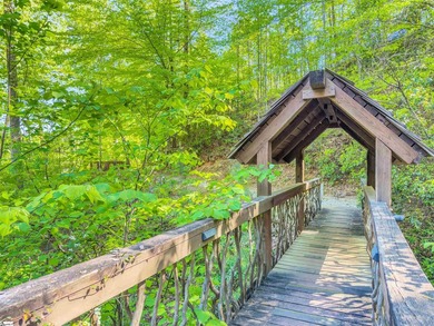 411 Evergreen Trail | The Cliffs at Keowee Falls South Newly - photo 42