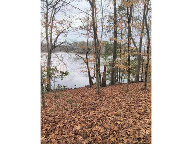 Rare opportunity to own 14.73 acres with approximately 325 feet - photo 3