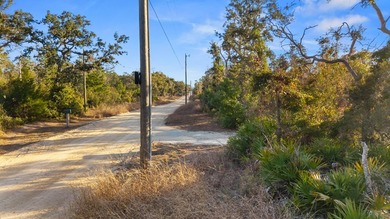 Featuring two spacious pole barns situated on concrete pads - photo 5