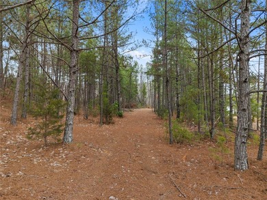 Rare opportunity to own 14.73 acres with approximately 325 feet - photo 6