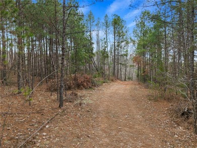 Rare opportunity to own 14.73 acres with approximately 325 feet - photo 10