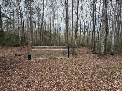 Discover the opportunity to own a beautiful vacant lot in - photo 1