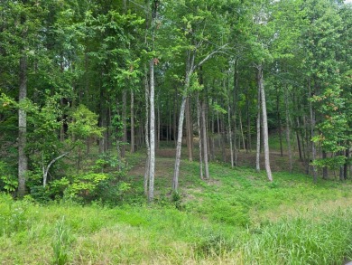 4 Acres to Build Your Dream Home Close to the Lake! - photo 4