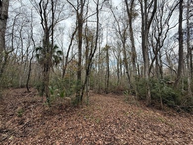 Discover the opportunity to own a beautiful vacant lot in - photo 5
