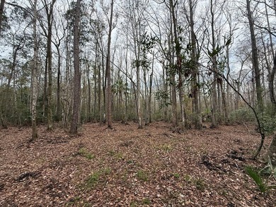 Discover the opportunity to own a beautiful vacant lot in - photo 6