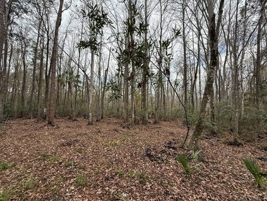 Discover the opportunity to own a beautiful vacant lot in - photo 7
