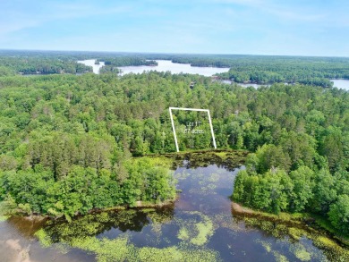 Lake Lot Off Market in Bradley, Wisconsin