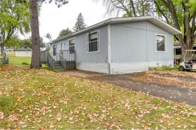 Lake Home For Sale in Chisago Lake Twp, Minnesota