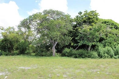 This 11,876 Sq. Ft. vacant land parcel is situated on 105' of - photo 6