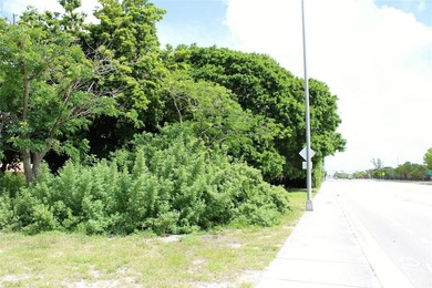 This 11,876 Sq. Ft. vacant land parcel is situated on 105' of - photo 8