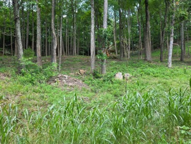 4 Acres to Build Your Dream Home Close to the Lake! - photo 7