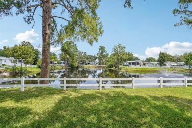 (private lake, pond, creek) Home Sale Pending in Tavares Florida