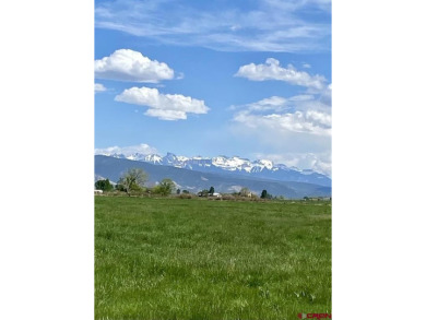  Acreage For Sale in Montrose Colorado