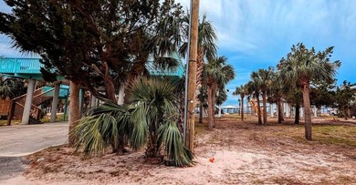 Relaxed coastal charm awaits in this 2-bedroom, 2-bath home on - photo 20