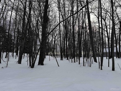 Lake Michigan - Delta County Lot For Sale in Gladstone Michigan