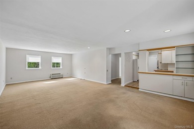 1331 Broadway unit P 10/11, a sunny and spacious first floor - photo 10