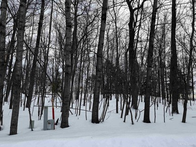 Lake Michigan - Delta County Lot For Sale in Gladstone Michigan