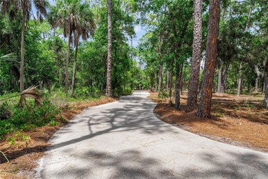 A Rare Private Sarasota Estate Offering Resort-Style Living - photo 4