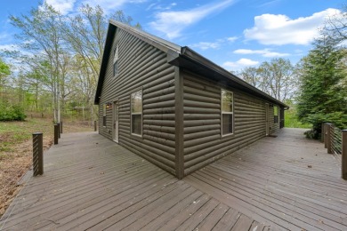 Cabin in Ironwood with Dock - photo 6