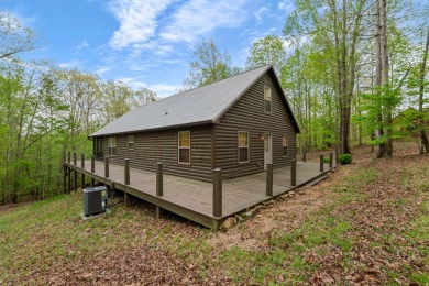 Cabin in Ironwood with Dock - photo 5
