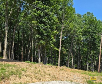 Dreamed of a Family/Friend Compound by the Lake?! - photo 7