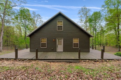 Cabin in Ironwood with Dock - photo 4