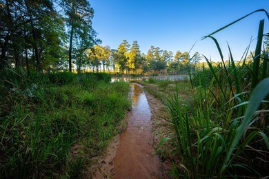 Lake Springs Ranch is the epitome of a true East Texas - photo 5