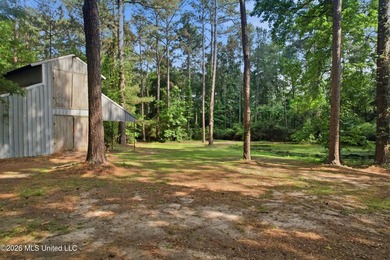 Peaceful Country Living on 3.3 Acres Between Summit & McComb, MS - photo 27