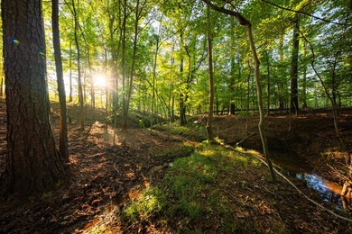 Lake Springs Ranch is the epitome of a true East Texas - photo 8