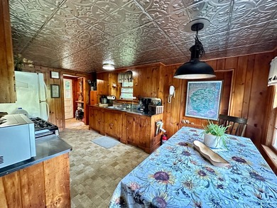 This cozy 4-season cabin is situated directly across the street - photo 28
