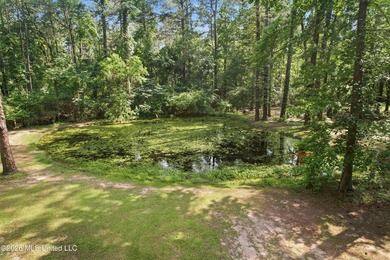 Peaceful Country Living on 3.3 Acres Between Summit & McComb, MS - photo 29