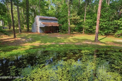 Peaceful Country Living on 3.3 Acres Between Summit & McComb, MS - photo 30