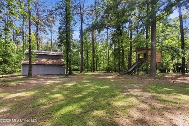 Peaceful Country Living on 3.3 Acres Between Summit & McComb, MS - photo 32