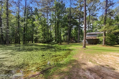 Peaceful Country Living on 3.3 Acres Between Summit & McComb, MS - photo 34