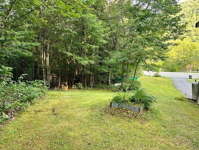This cozy 4-season cabin is situated directly across the street - photo 34