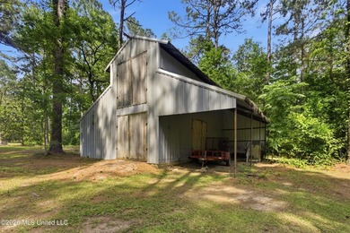Peaceful Country Living on 3.3 Acres Between Summit & McComb, MS - photo 35