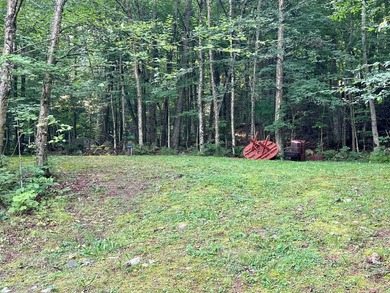 This cozy 4-season cabin is situated directly across the street - photo 35