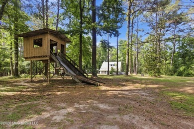 Peaceful Country Living on 3.3 Acres Between Summit & McComb, MS - photo 36