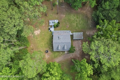 Peaceful Country Living on 3.3 Acres Between Summit & McComb, MS - photo 41