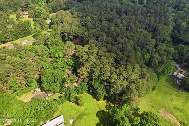 Peaceful Country Living on 3.3 Acres Between Summit & McComb, MS - photo 42