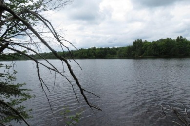 Flambeau River - Price County Lot For Sale in Park  Falls Wisconsin