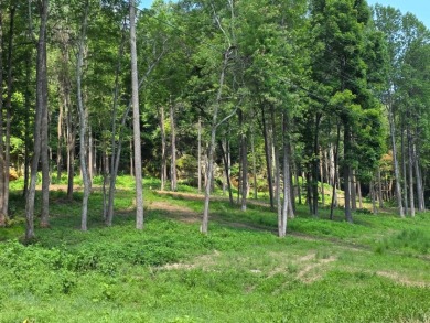 Dreamed of a Family/Friend Compound by the Lake?! - photo 21