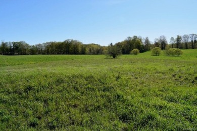 Village lot makes for the perfect spot for building your new - Lake Lot For Sale in Lacona, New York