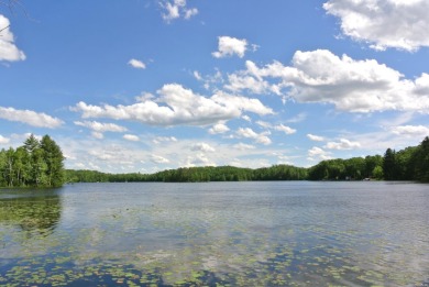 Little Bearskin Lake Lot For Sale in Harshaw Wisconsin