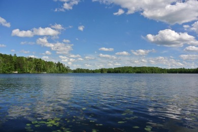 Little Bearskin Lake Lot For Sale in  Wisconsin