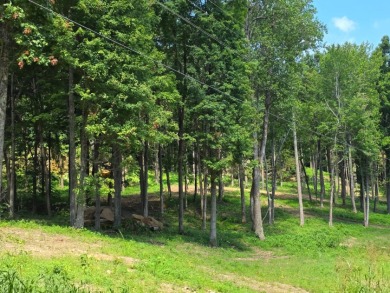 Dreamed of a Family/Friend Compound by the Lake?! - photo 19
