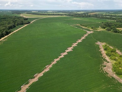 655 acres of production ag land with duck and deer opportunities - photo 11