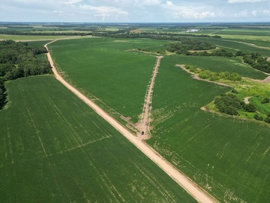 655 acres of production ag land with duck and deer opportunities - photo 12
