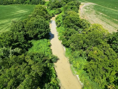 655 acres of production ag land with duck and deer opportunities - photo 13